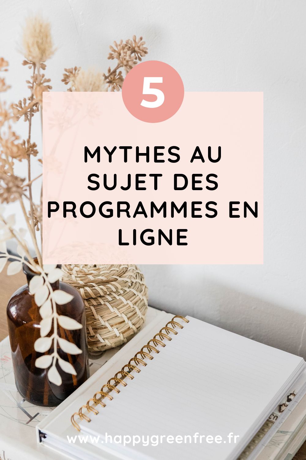 5 mythes au sujet des programmes en ligne